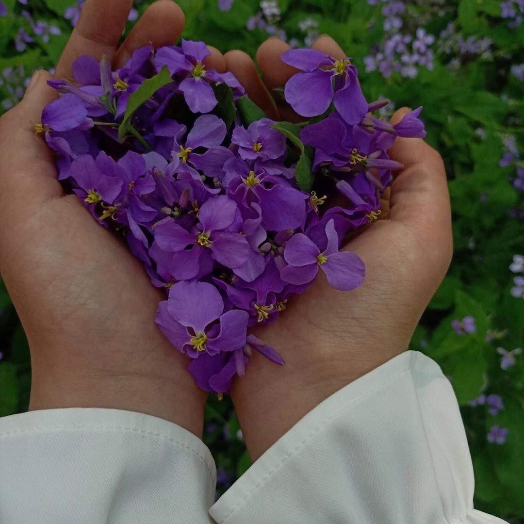 久雅大酒店许姐
