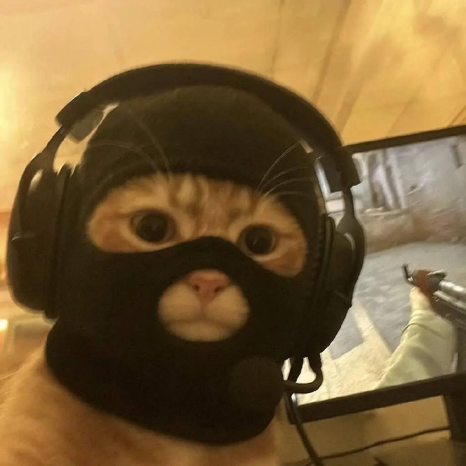 坦克西