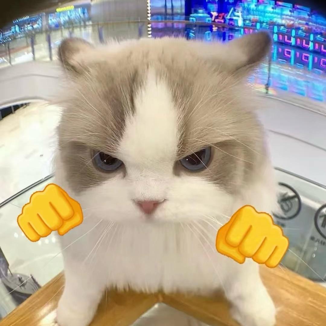 澈澈开心至上◕ᴗ< .ᐟ