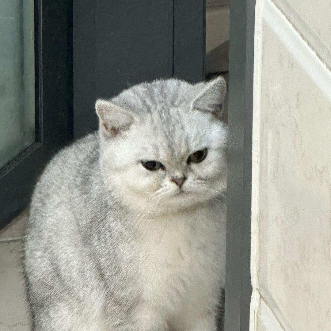 ゛小可爱つ
