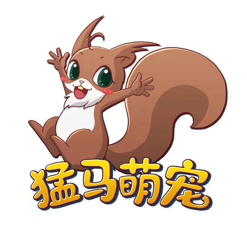 猛马萌宠