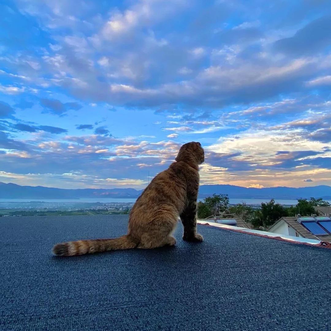 小齐🌤