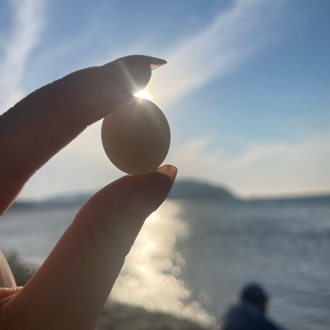 周周诺诺吖