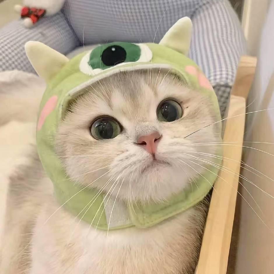 洋洋洋