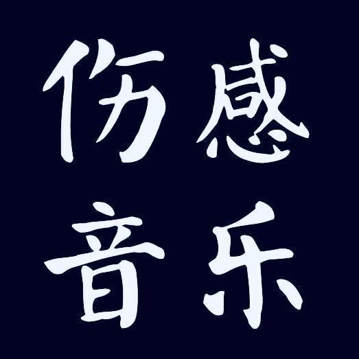 伤感音乐(车载优盘)