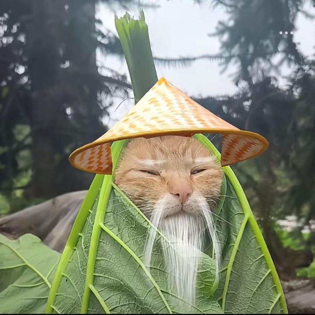 佐仓井律