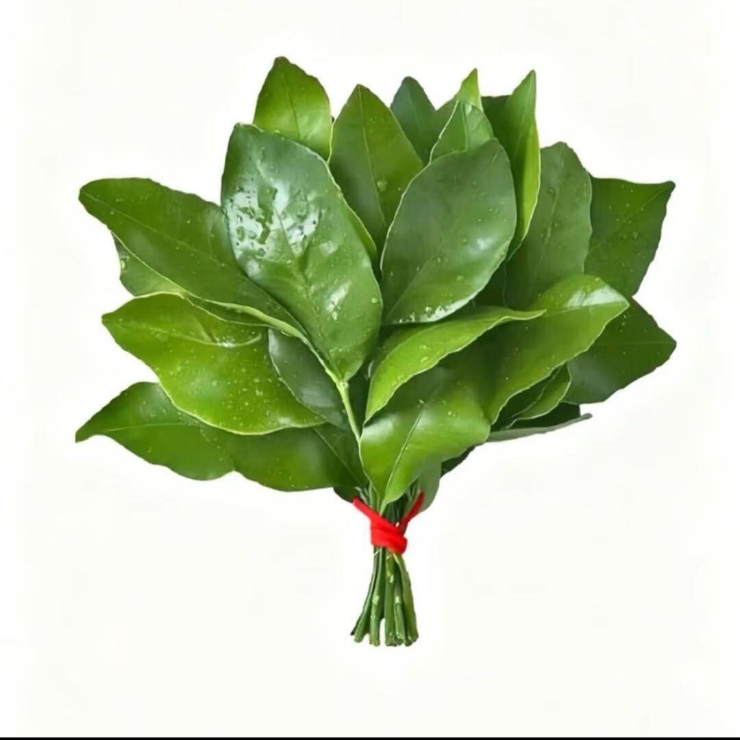 @马开心