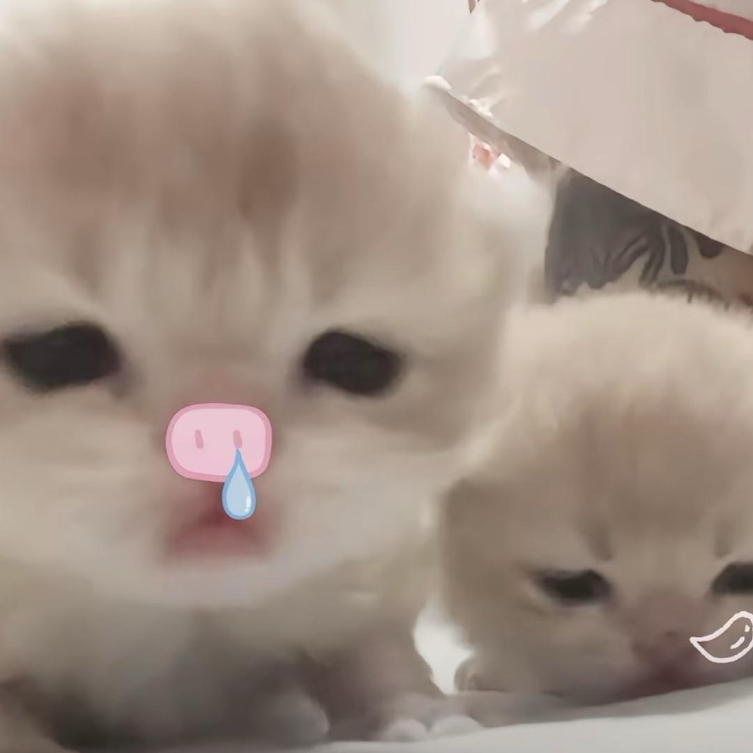 candy.