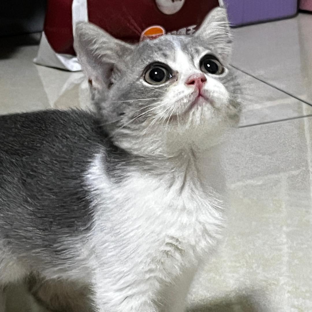 小周睡不饱☁️