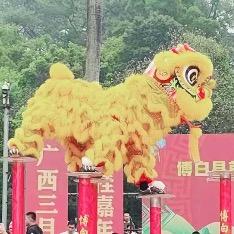 雄獅少年