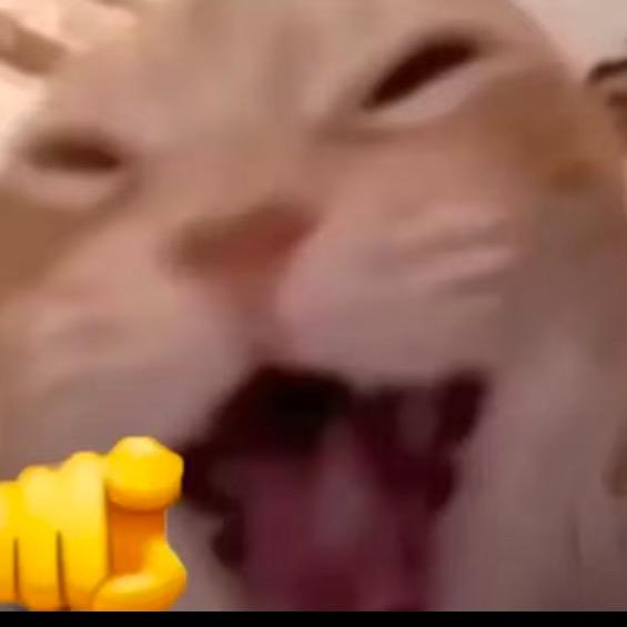 绝绝（三角洲行动）