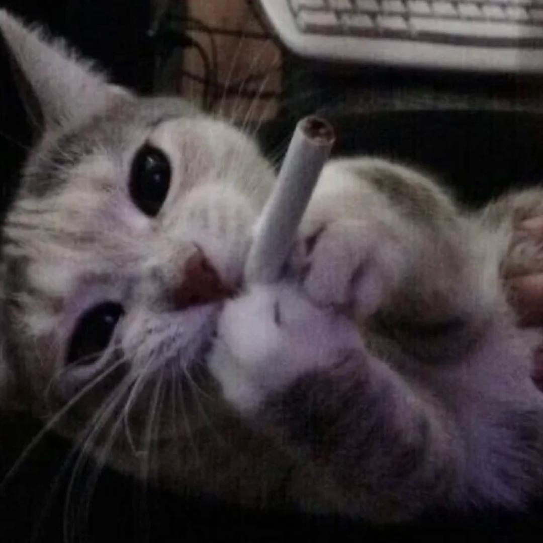 贝斯奥特曼