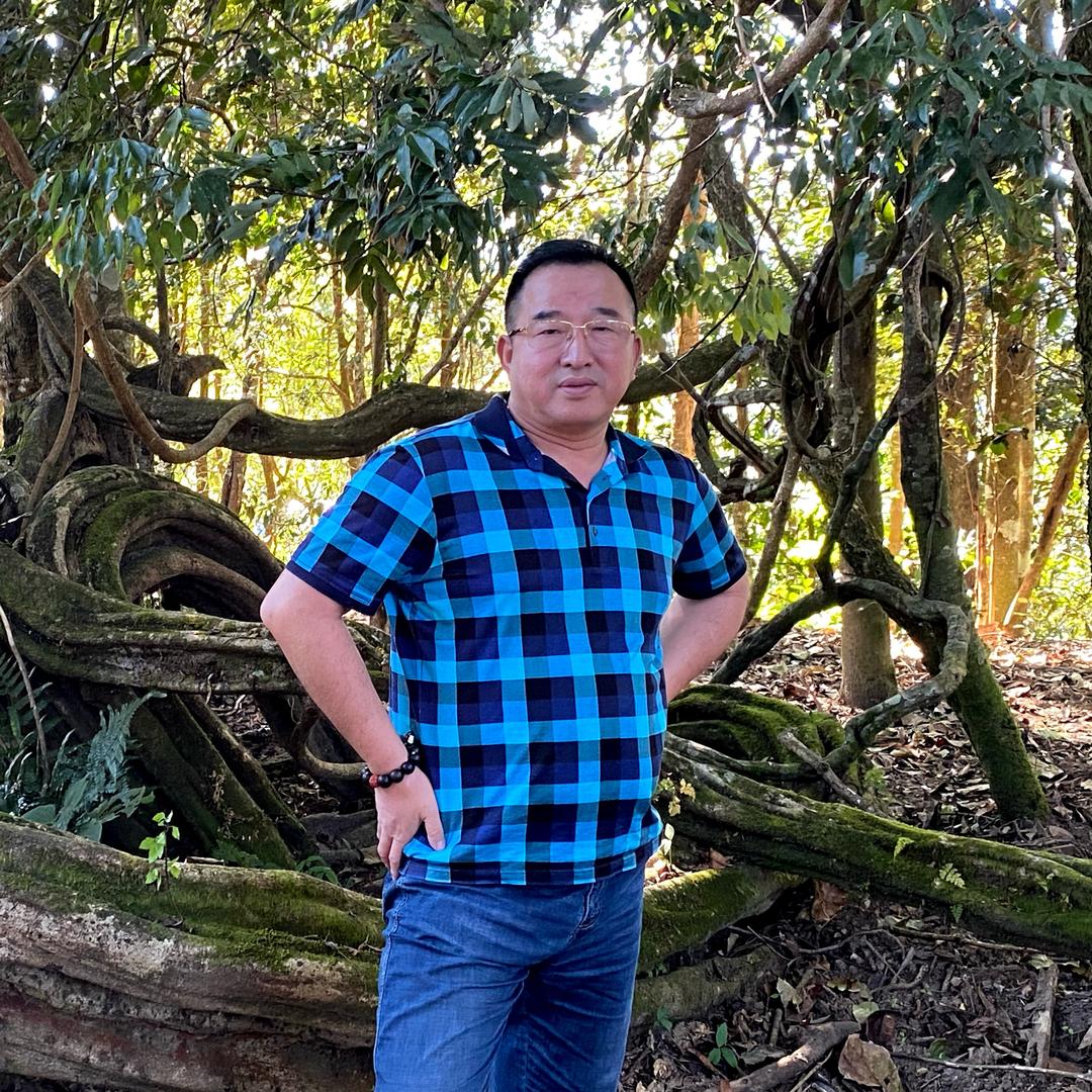 老王的闲茶生活