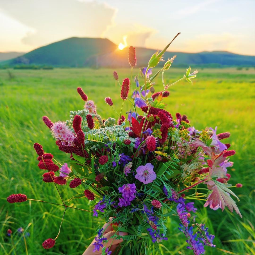 @佳🌼