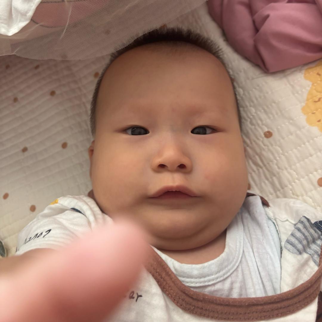 冬