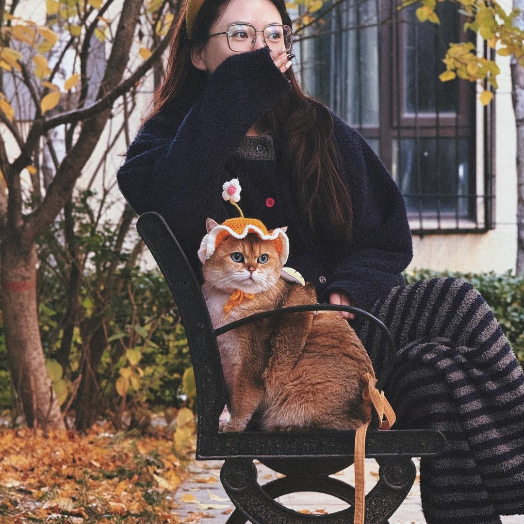 大师是只猫
