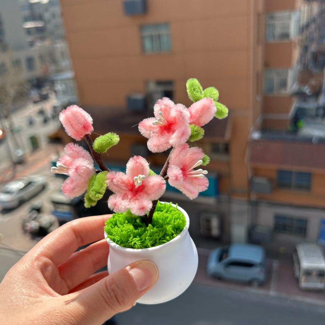 鼠鼠