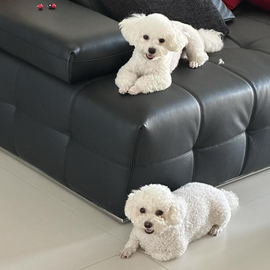 曲多多🐶和林泡芙🐶💕