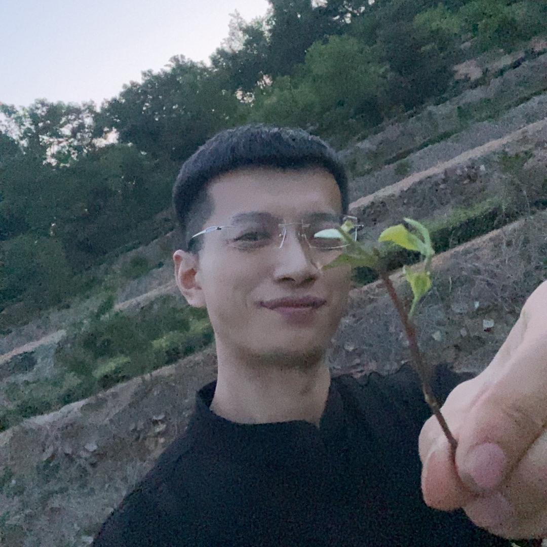 日照绿茶东东
