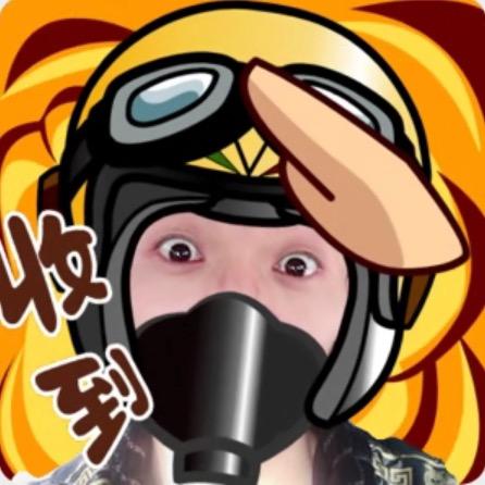 齐某人