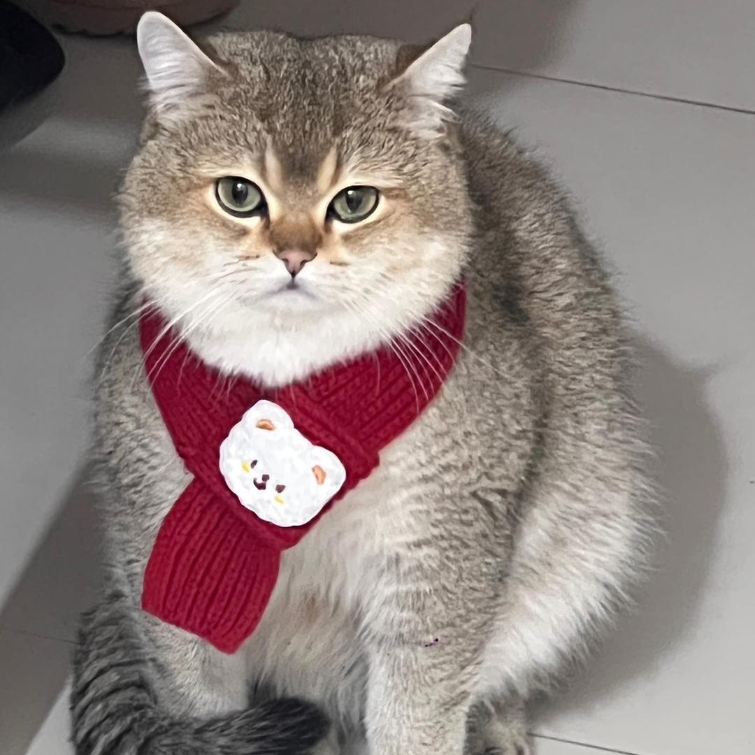 努力努力再努力💪