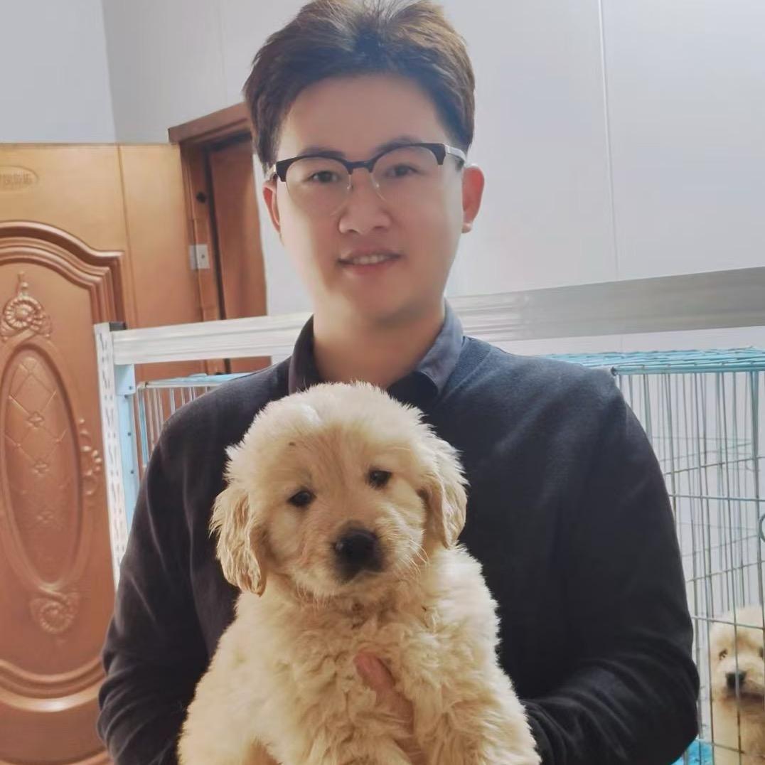 大曾的宠物日常