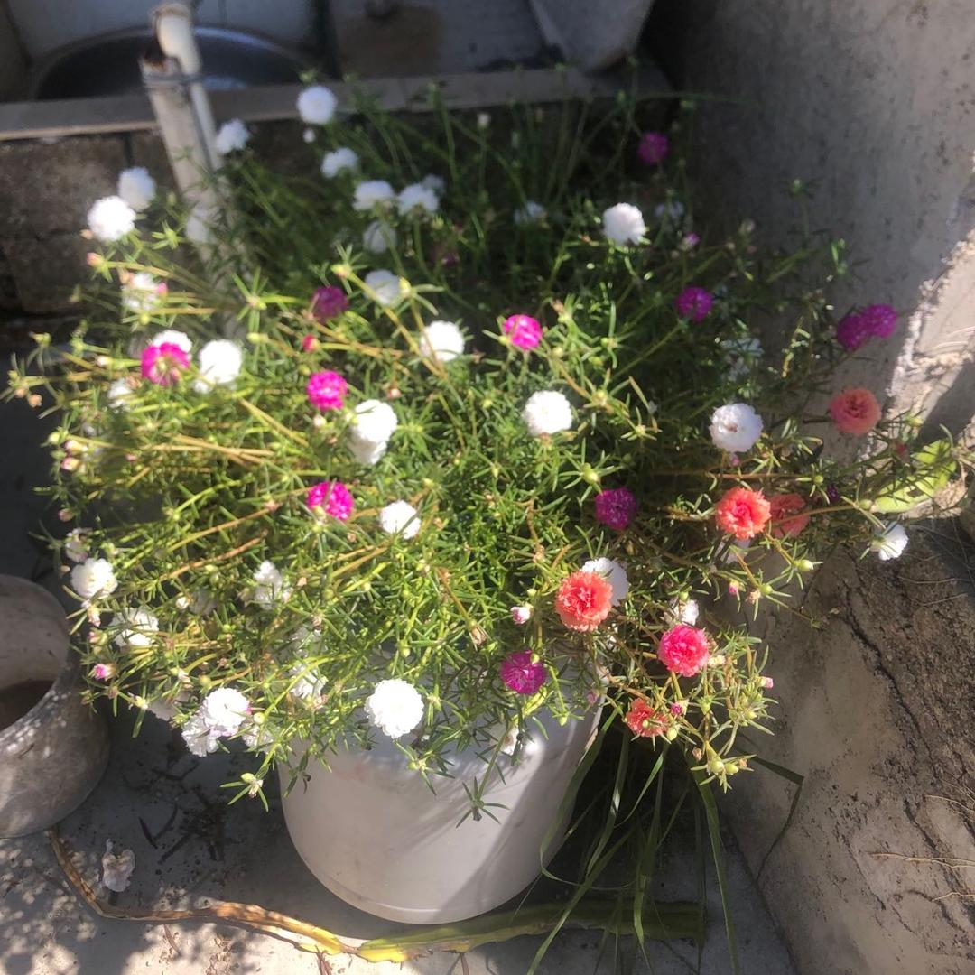 期待一切的一切