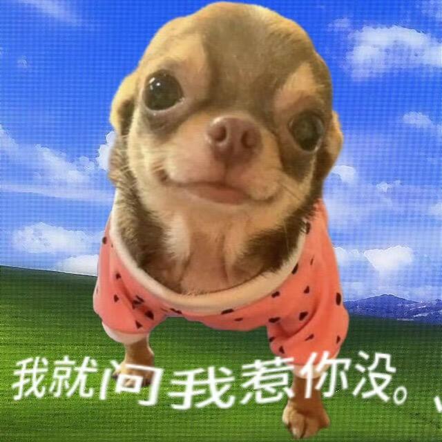 天才小晶