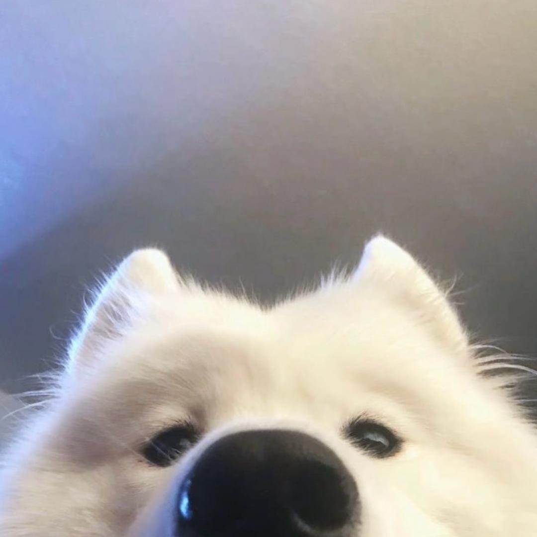 Tina