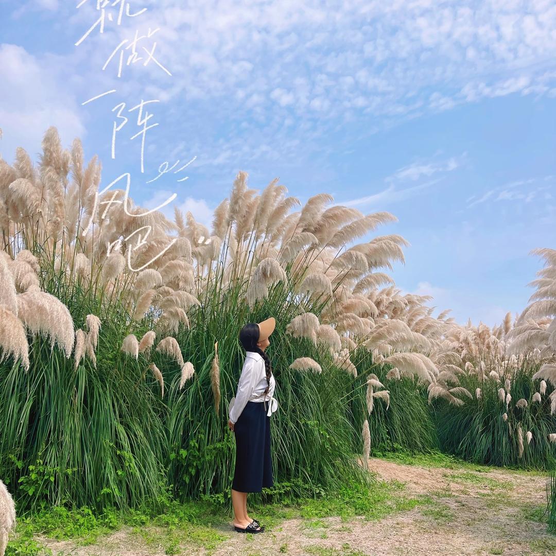 小岛上的院子——镇江世业洲院子里