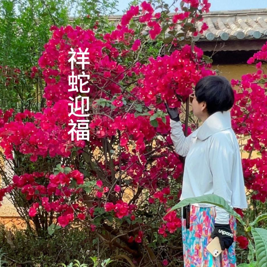琴姐的旅行生活