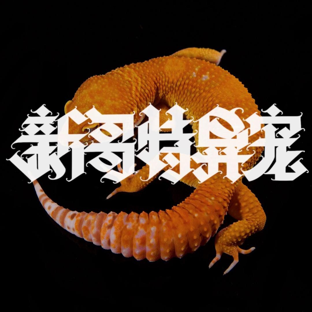 新哥特异宠的日常