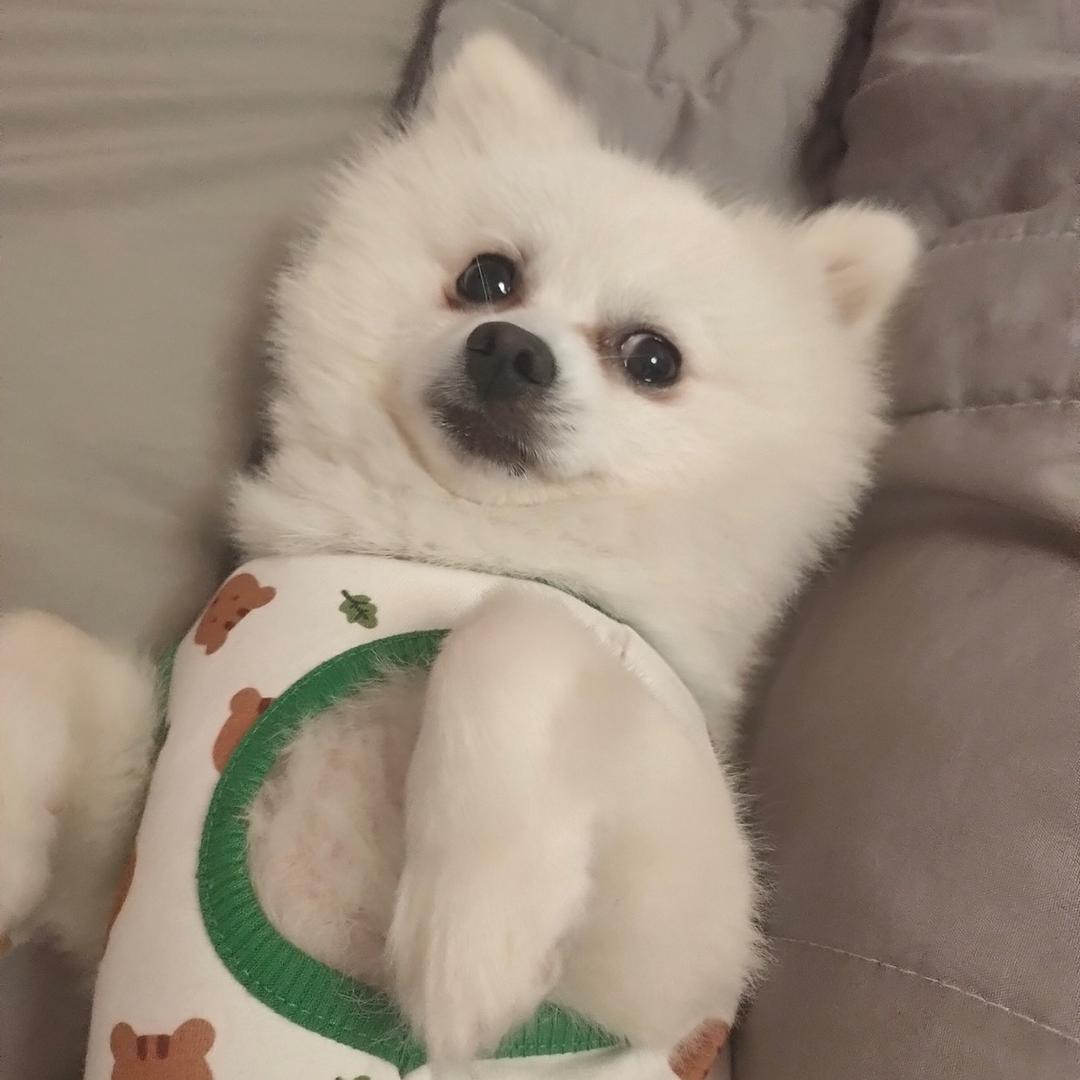 当下