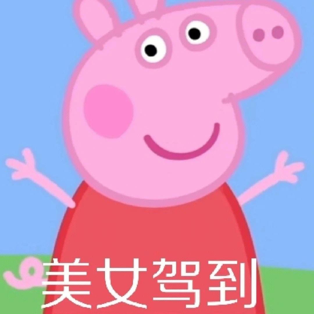 薄荷味的夏天