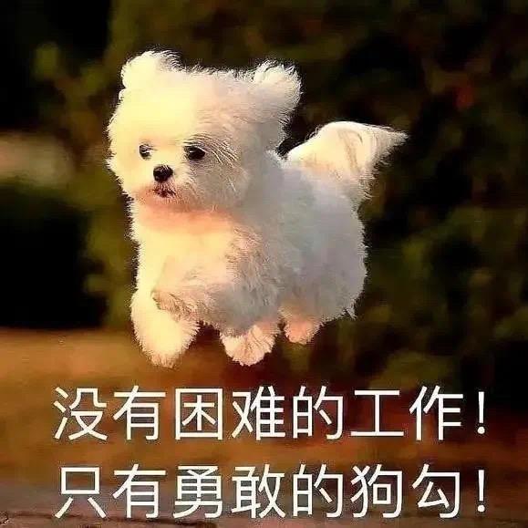 不怕困难，勇敢向前，哦耶✌️