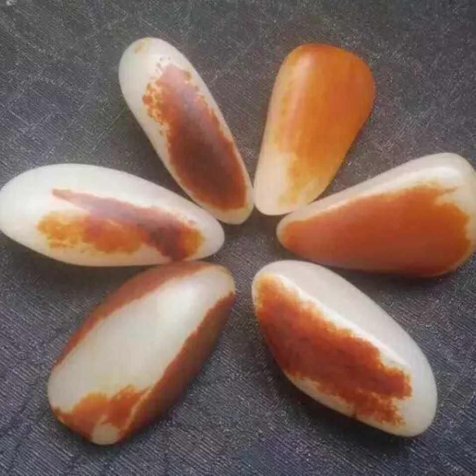 Uynaxma
