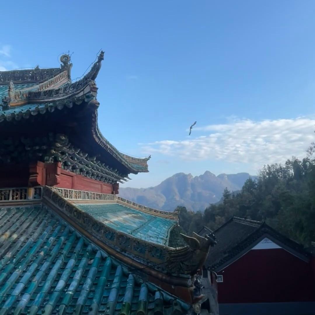 麒山东煳