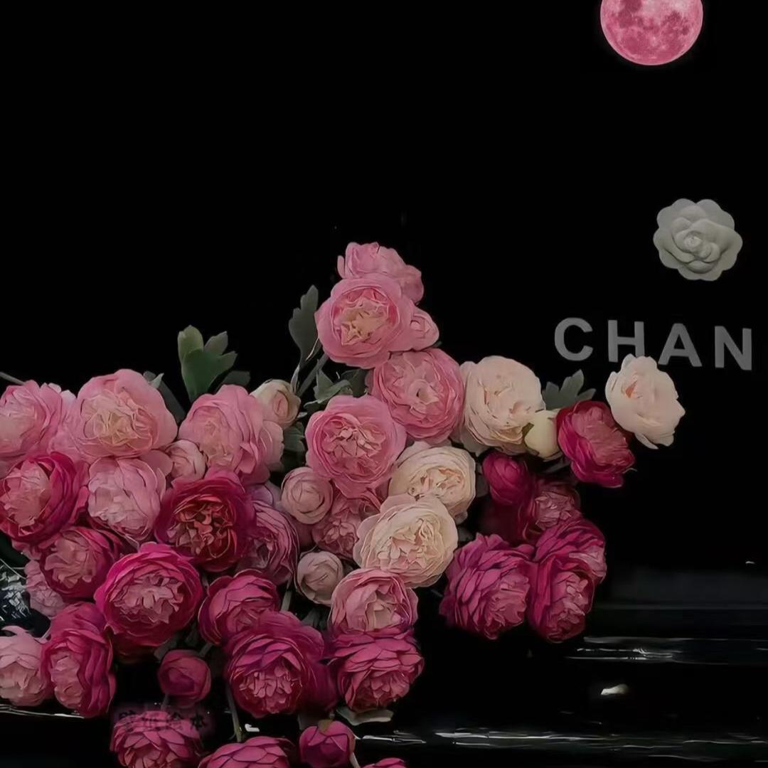 鸿美源.国际美容