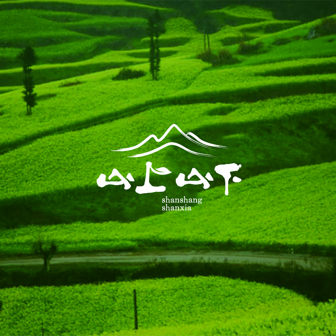 山上山下农品铺