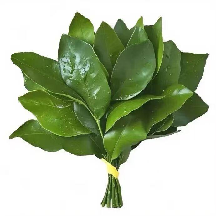 關公騎摩托