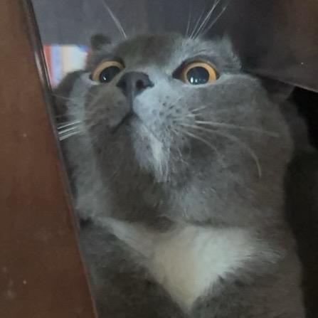 小点点🩵