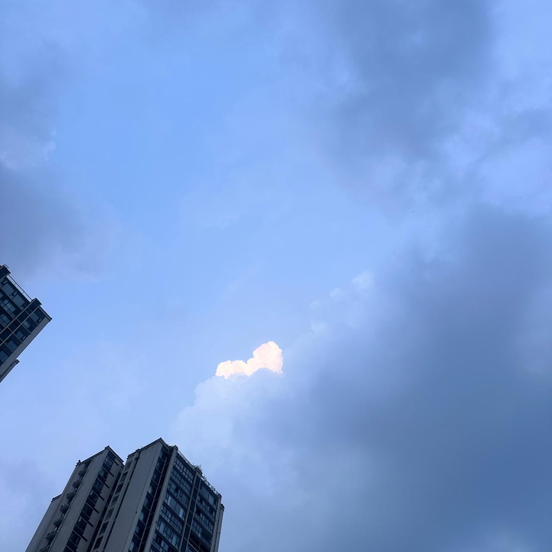 小芳不吃鱼🐟