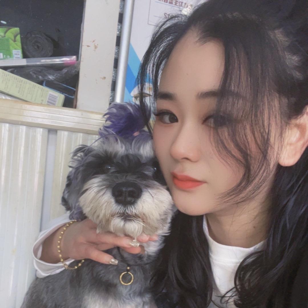 布丁是只雪纳瑞