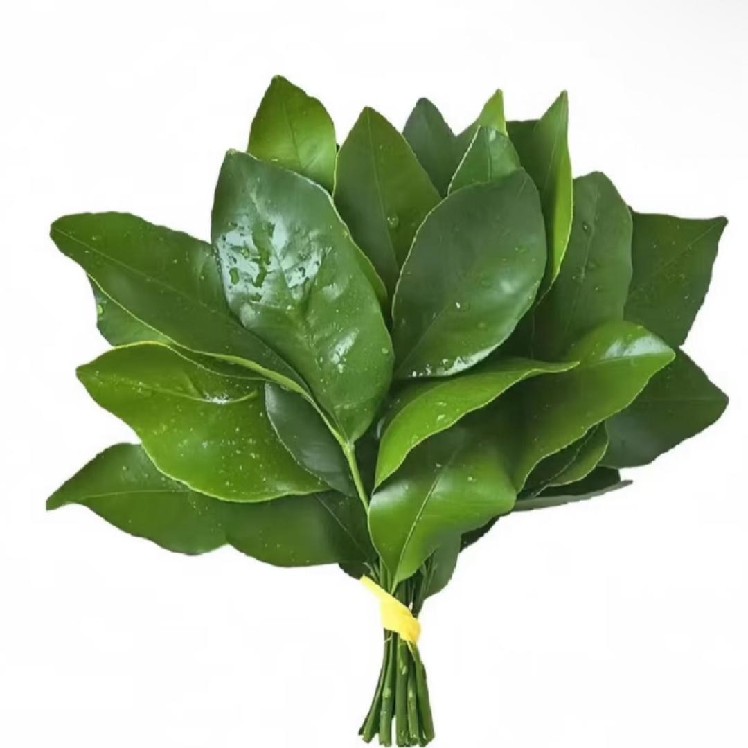 心儿🌷