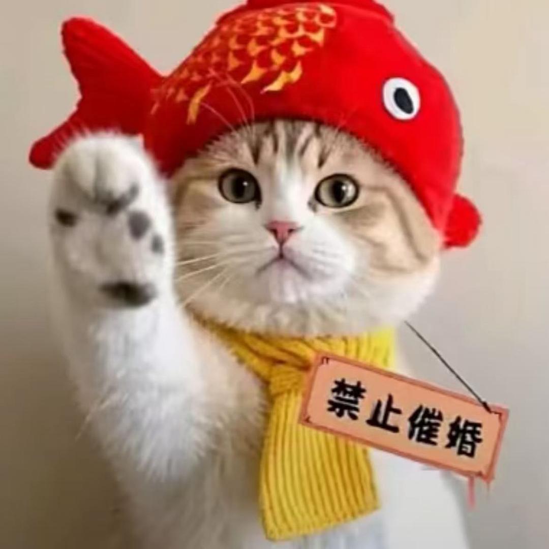 1笑脸就大🙃🙃
