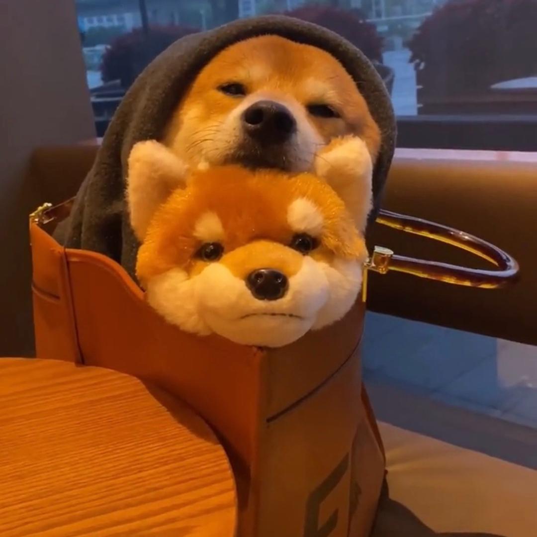青修