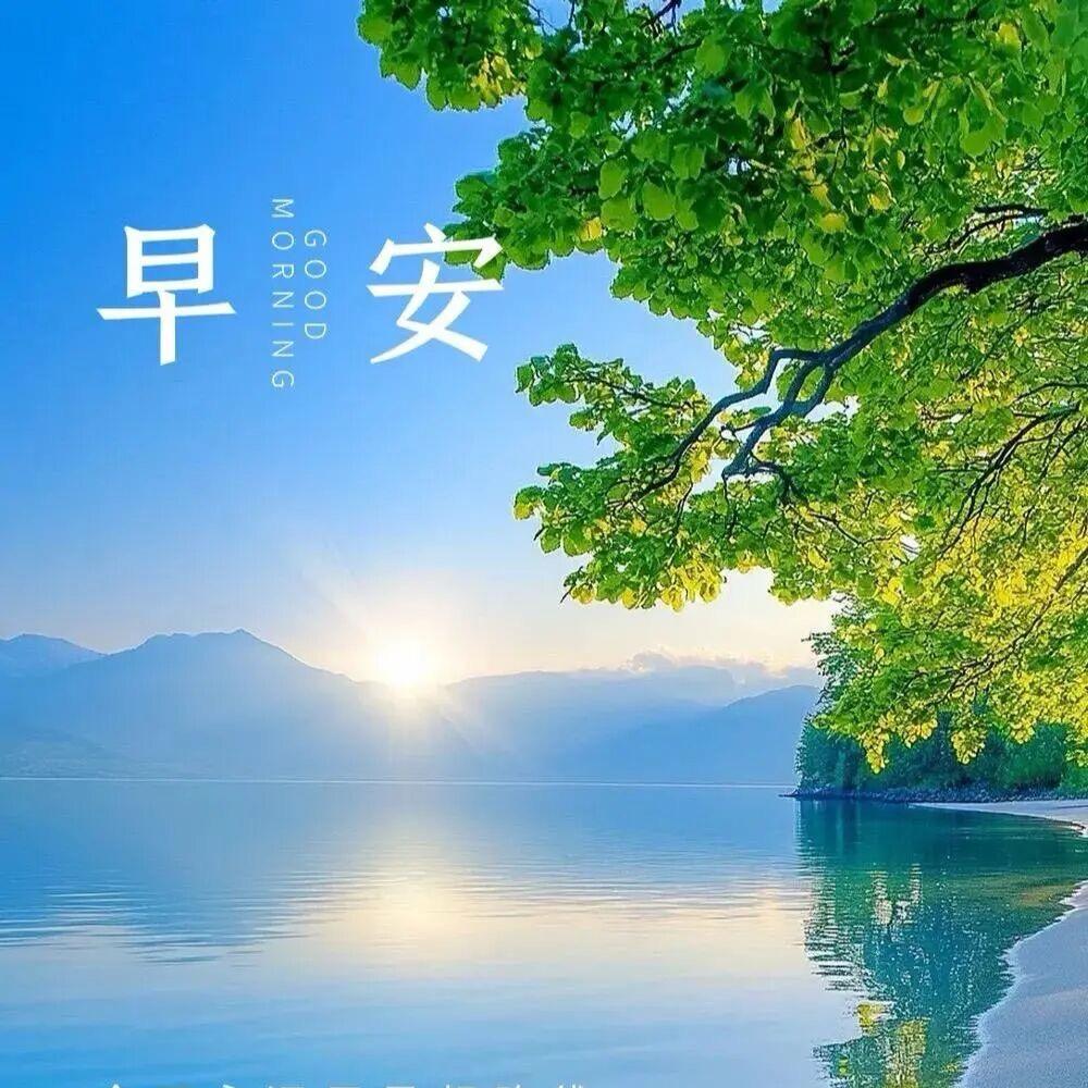 爱吃薯条蛋的凌兄弟头像