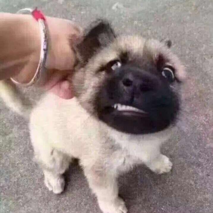 徐壮壮爱看电影