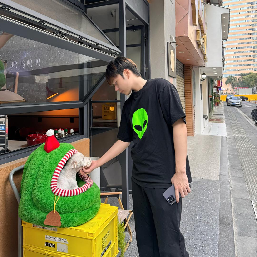 诺米团子