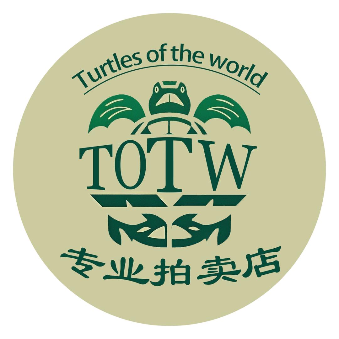 Turtles拍卖店